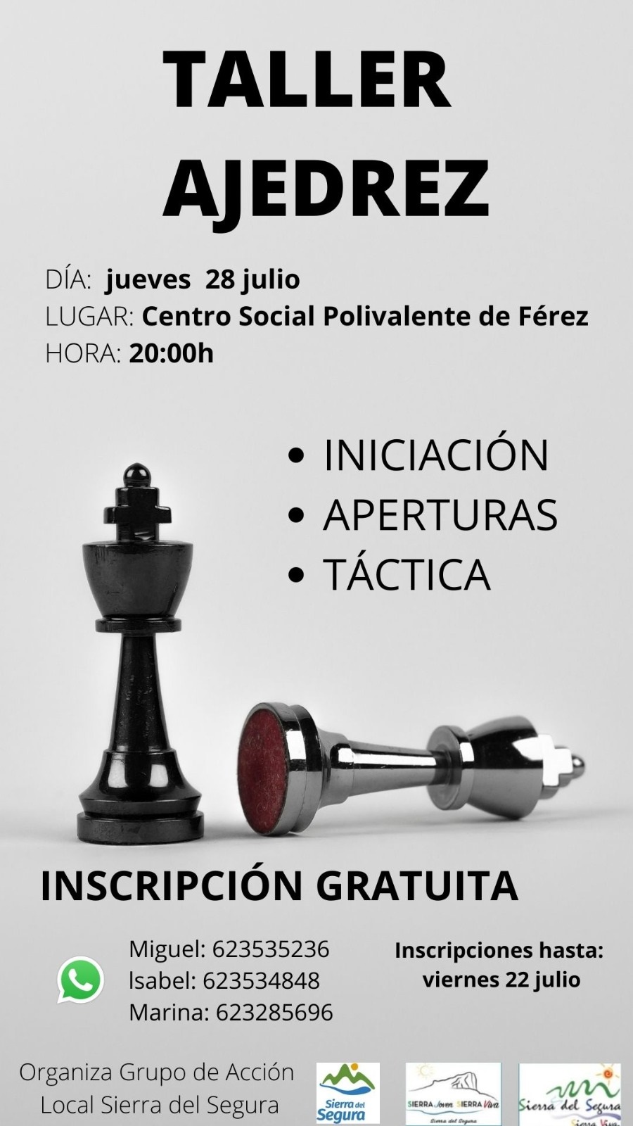 Taller de ajedrez online